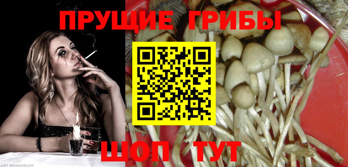 Галлюциногенные грибы ЛСД  Псилоцибиновые грибы ЛСД  Вход с VPN  Краснотурьинск 